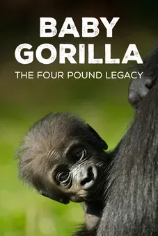 Baby Gorilla: The Four-Pound Legacy