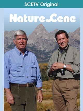 NatureScene: show-poster2x3