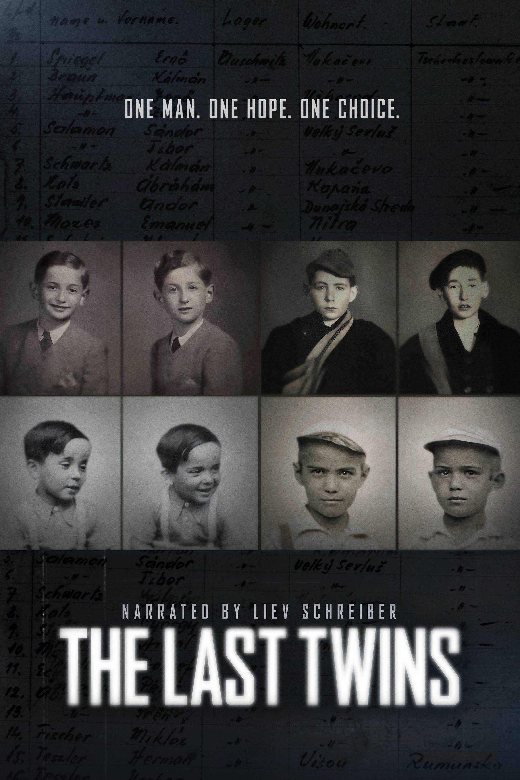 The Last Twins show's poster