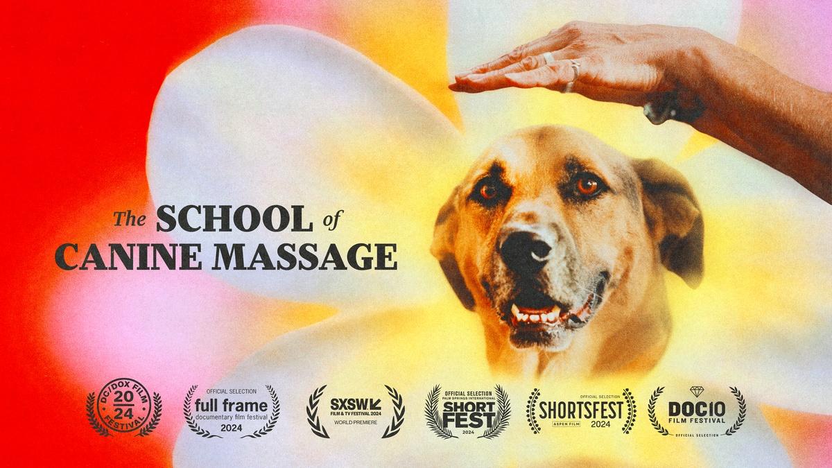 The School of Canine Massage Video NJ PBS