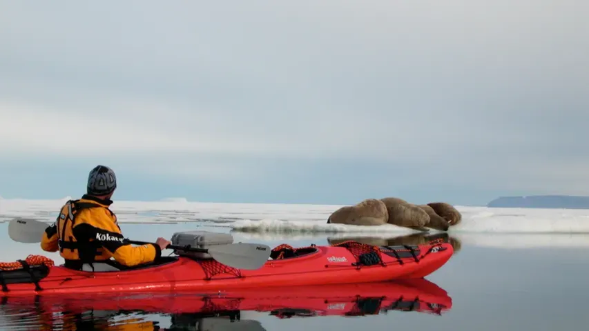 Abandoned in the Arctic