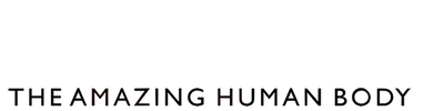 The Amazing Human Body