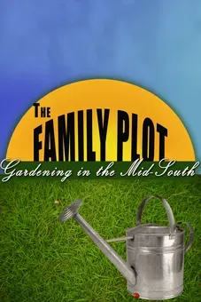 The Family Plot