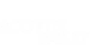 Scott & Bailey