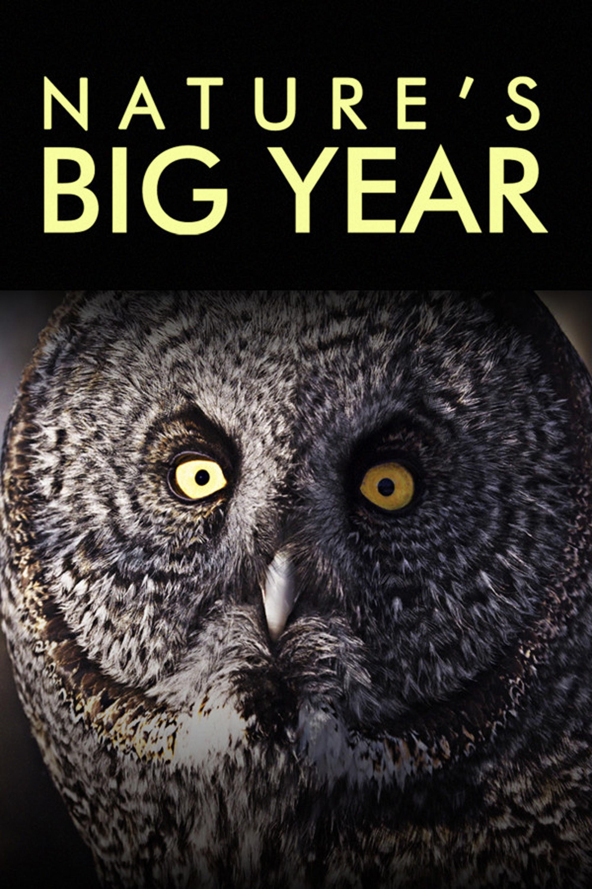 Nature's Big Year show's poster