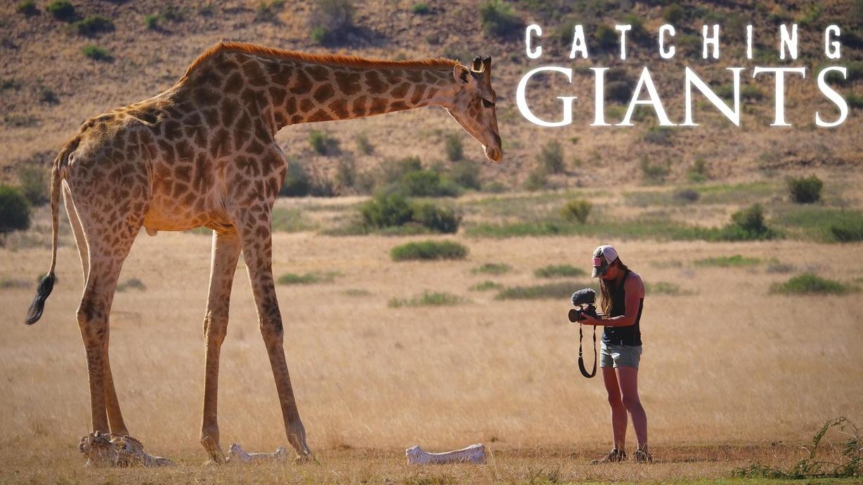 Catching Giants