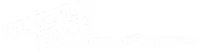 Emerging Voices