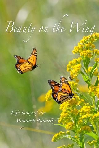 Poster image for Beauty on the Wing: Life Story of the Monarch Butterfly