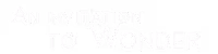 An Invitation to Wonder