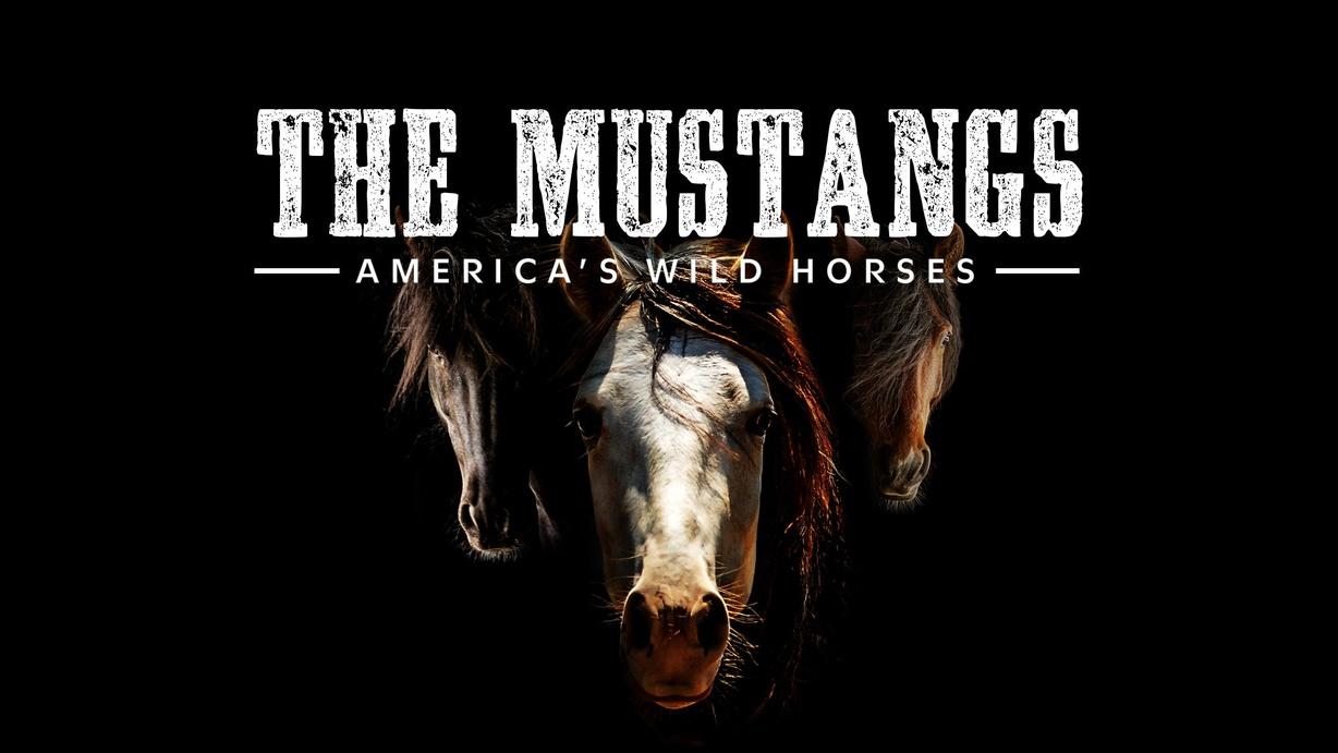 The Mustangs: America's Wild Horses