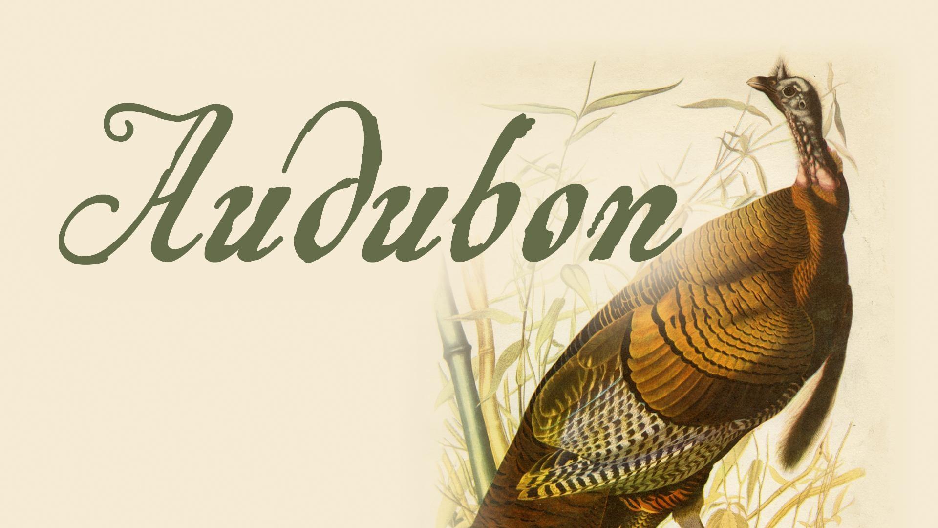 Audubon