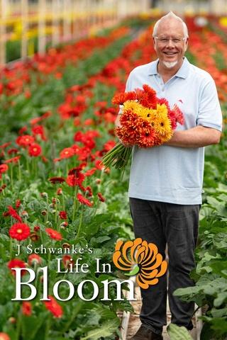 Poster image for J Schwanke’s Life In Bloom