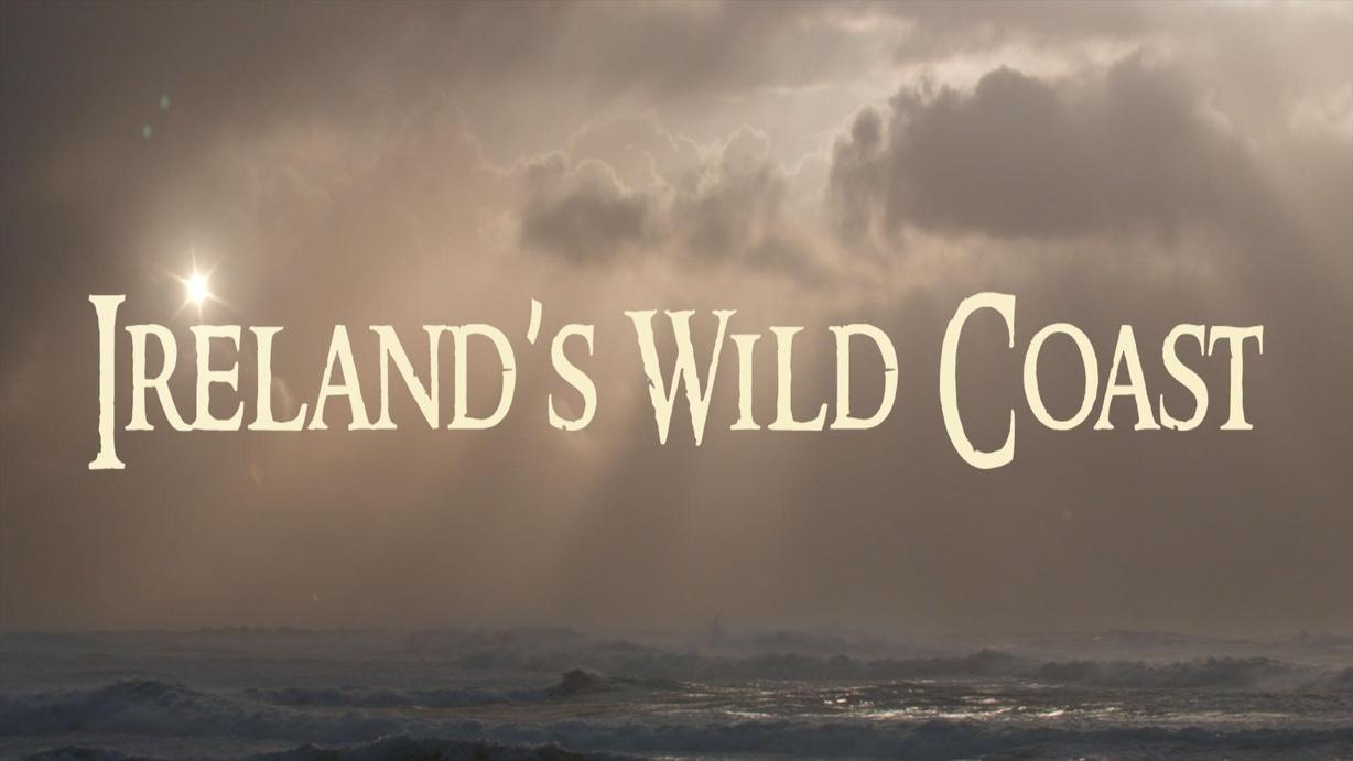 Ireland's Wild Coast