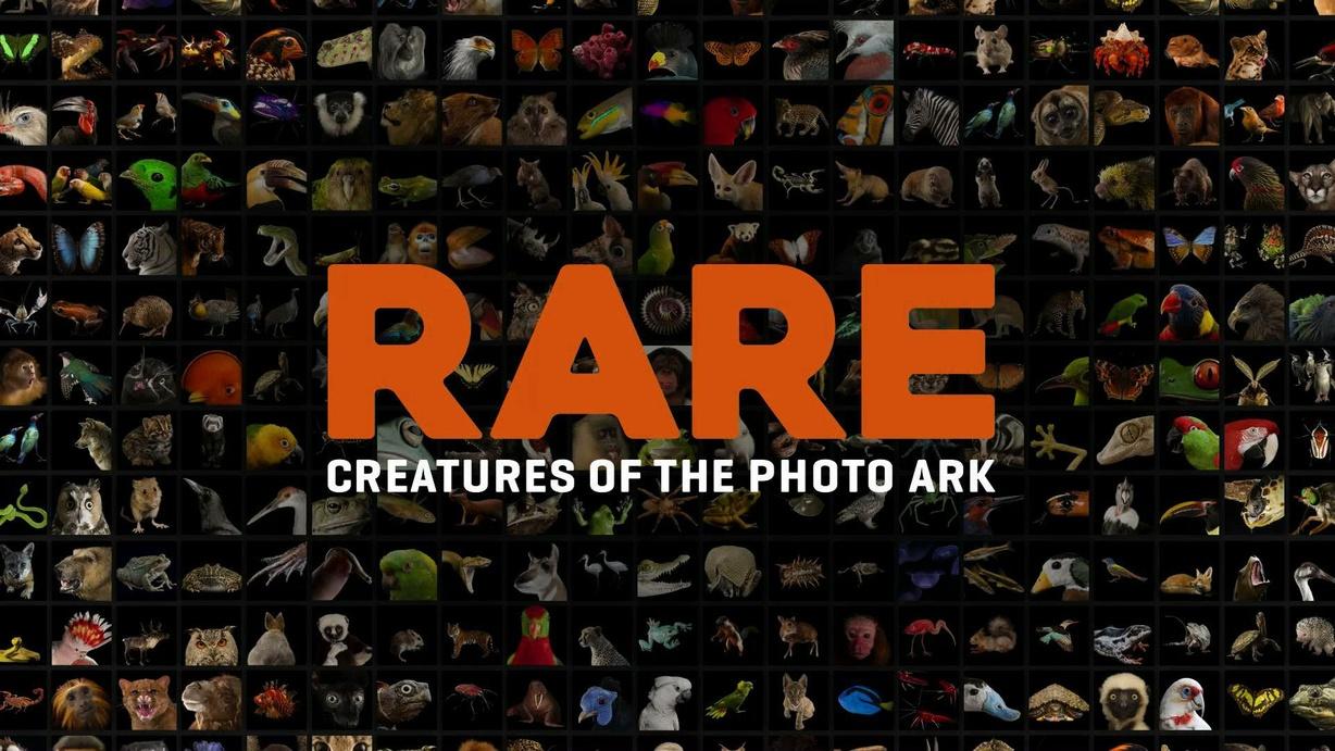 Rare