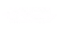 Nashville: The 20th Century in Photographs