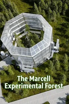 Marcell Experimental Forest