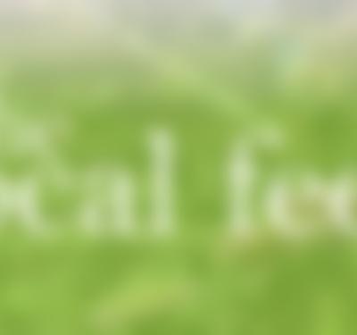 The Local Feed