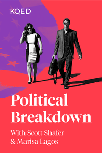 Political Breakdown