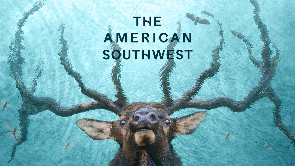 The American Southwest