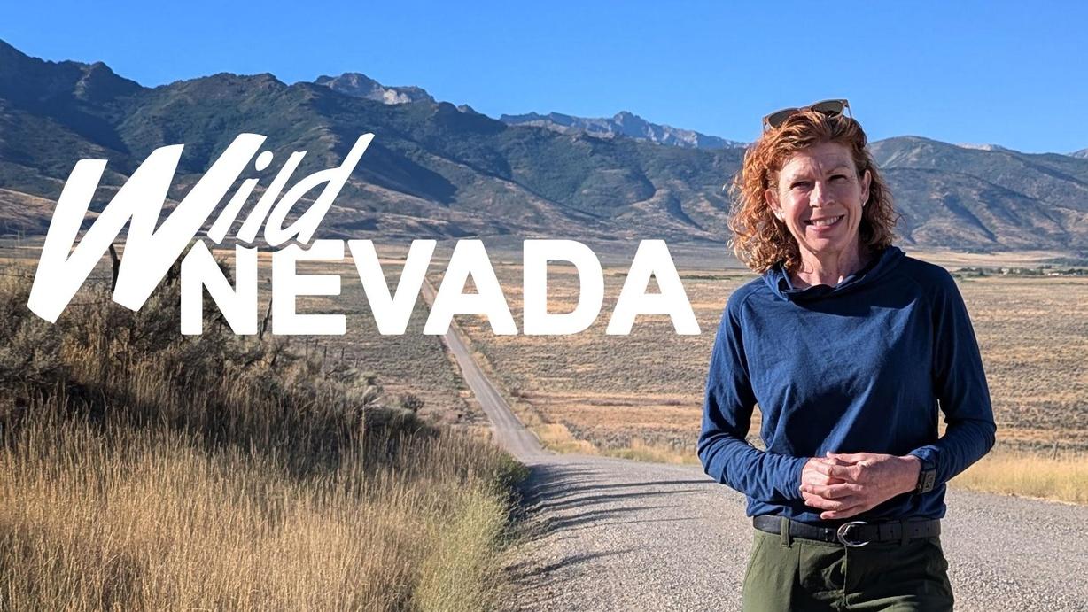 Wild Nevada