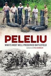 Peleliu: WWII's Most Well-Preserved Battlefieldhttps://image.pbs.org/video-assets/tXEQZBR-asset-mezzanine-16x9-ffNT16r.jpg.fit.160x120.jpg