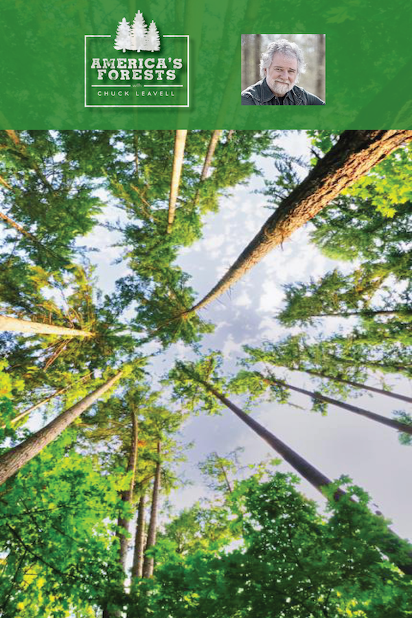 America's Forests with Chuck Leavell show's poster