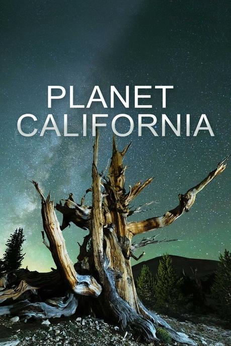 Planet California Poster