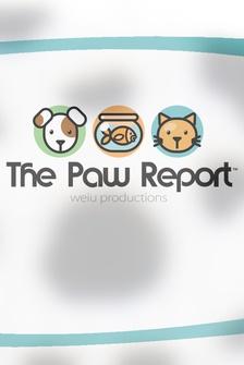The Paw Report