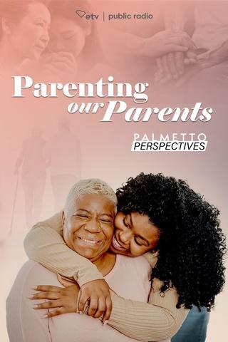 Palmetto Perspectives: show-poster2x3