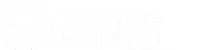 Palmetto Scene