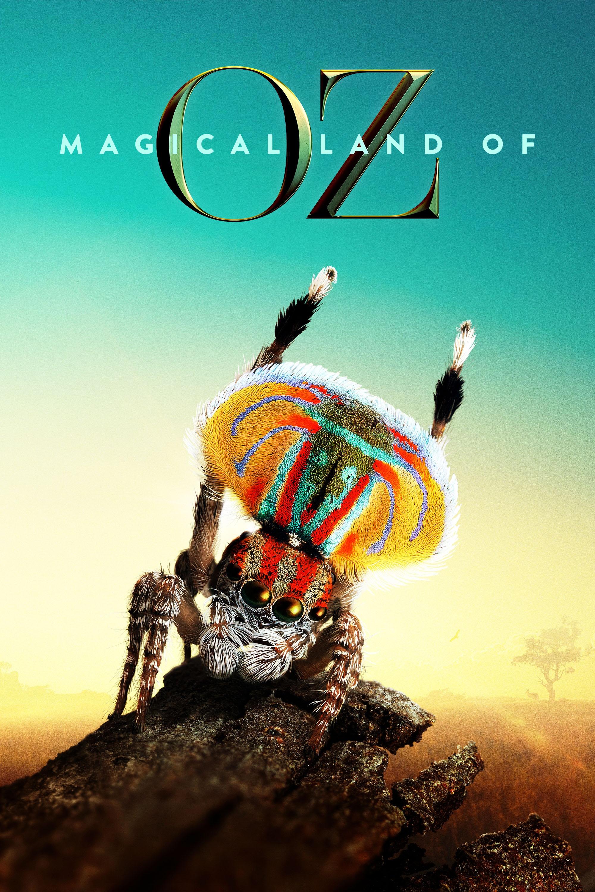 Magical Land of Oz show's poster