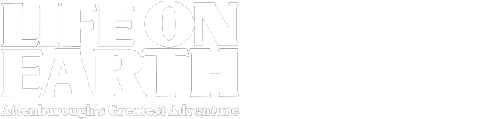 Life on Earth: Attenborough’s Greatest Adventure