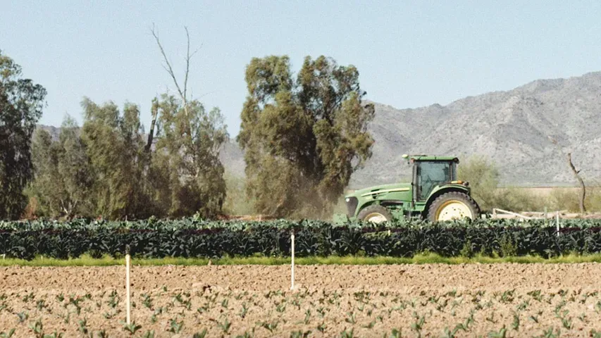 The Story of Arizona's Good Food