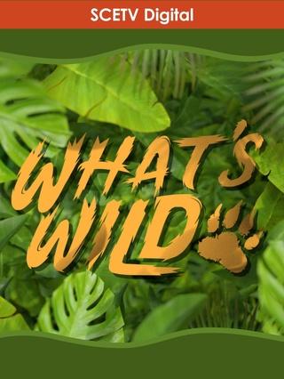 What's Wild: show-poster2x3