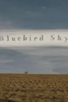 Bluebird Sky