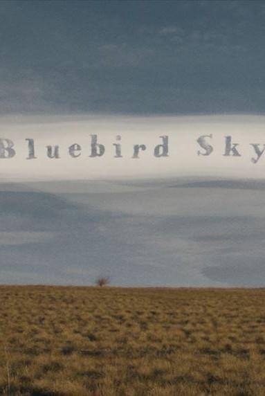 Bluebird Sky show's poster