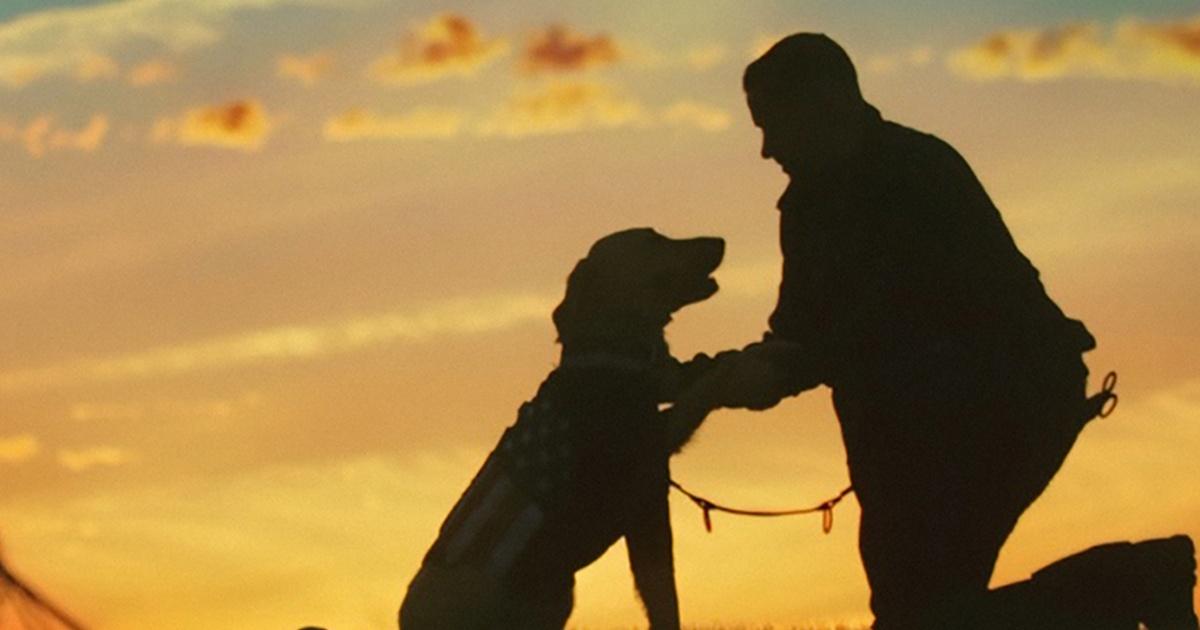 A New Leash on Life The K9s for Warriors Story PBS