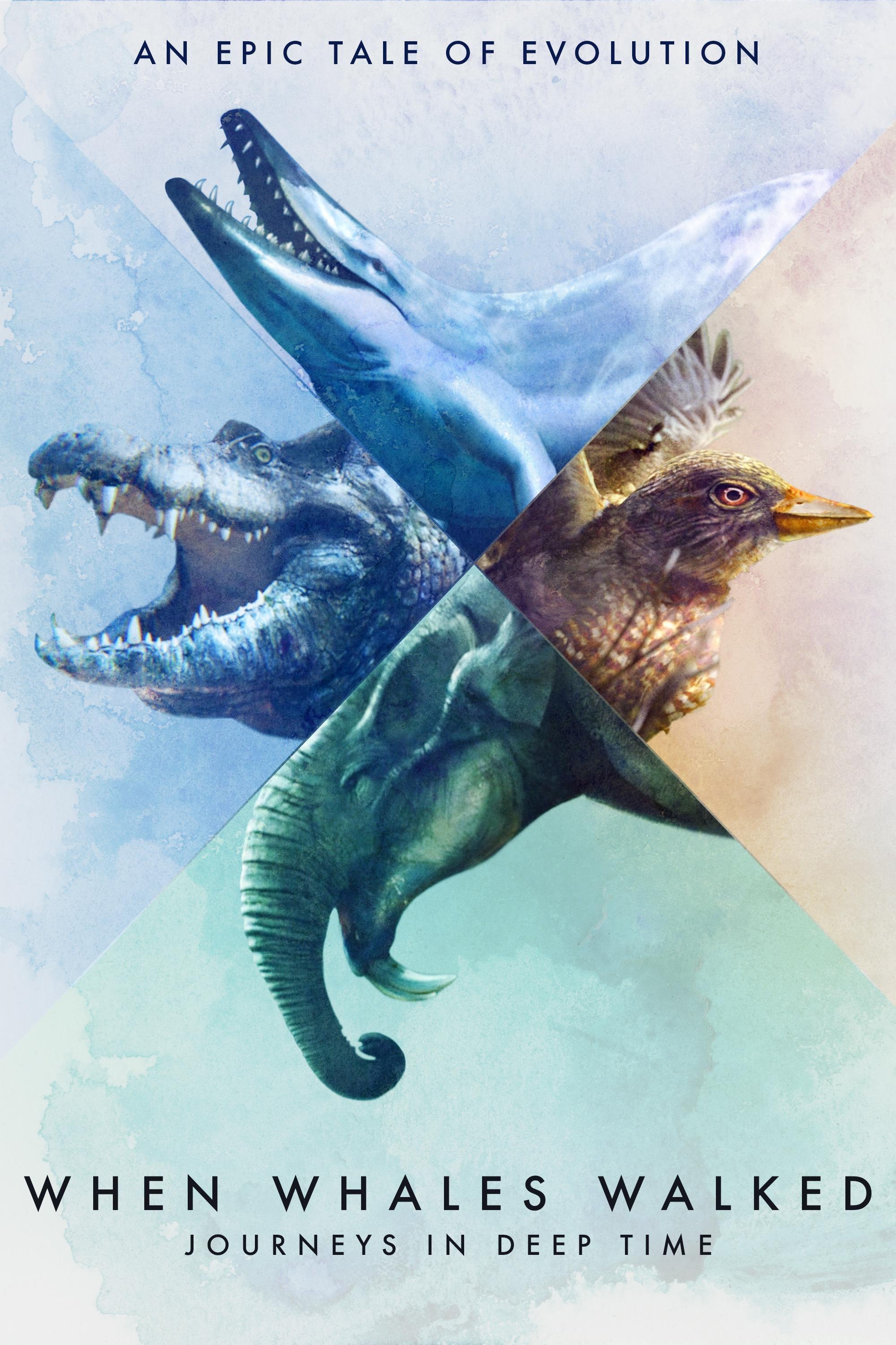 When Whales Walked: Journeys in Deep Time show's poster