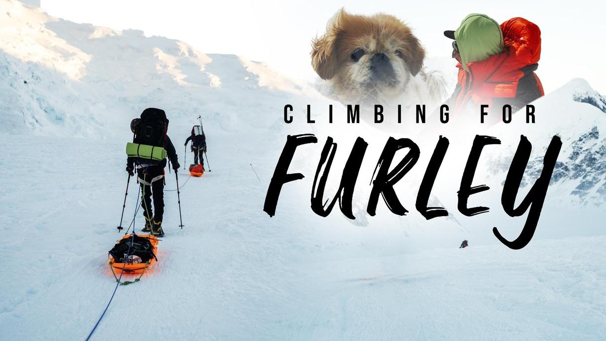 Climbing For Furley