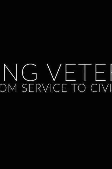 Hiring Veterans: From Service To Civilian show's poster