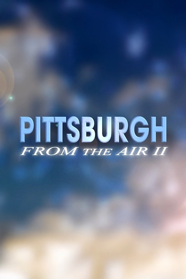 Pittsburgh From the Air II
