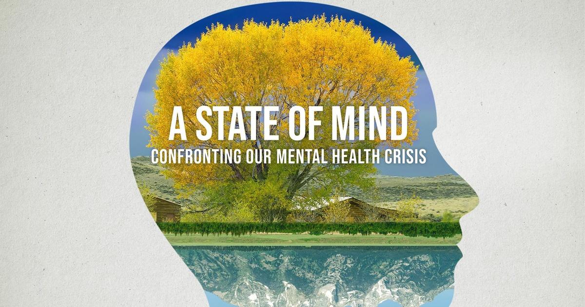 A State of Mind: Confronting Our Mental Health Crisis