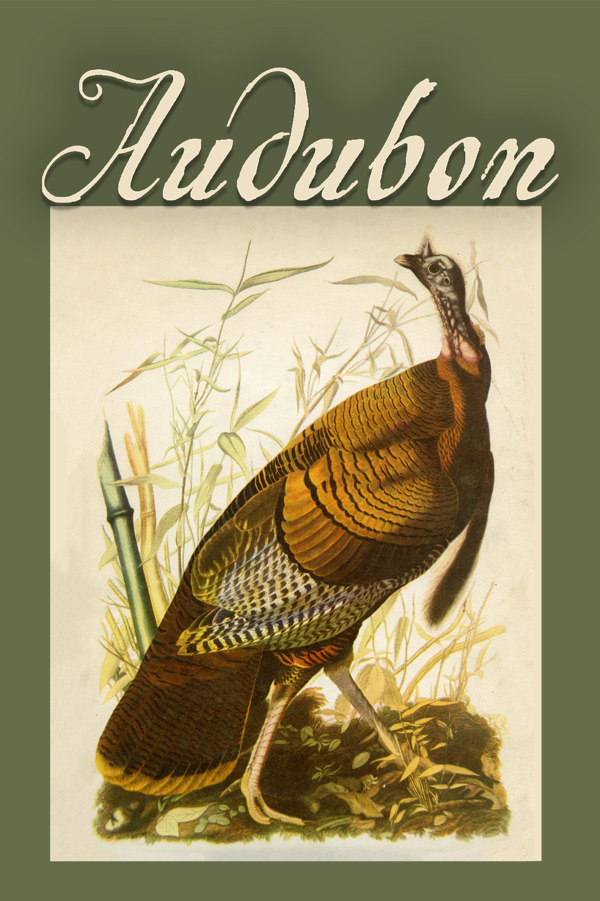 Audubon show's poster