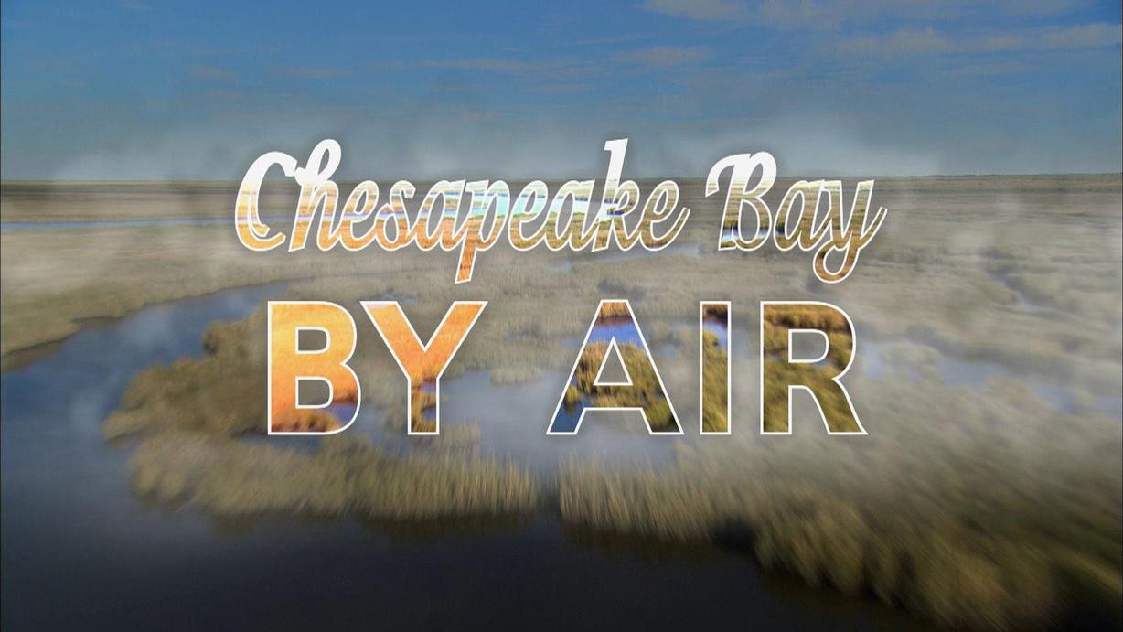 Chesapeake Bay by Air
