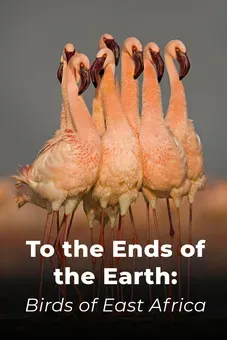 To the Ends of the Earth: Birds of East Africa