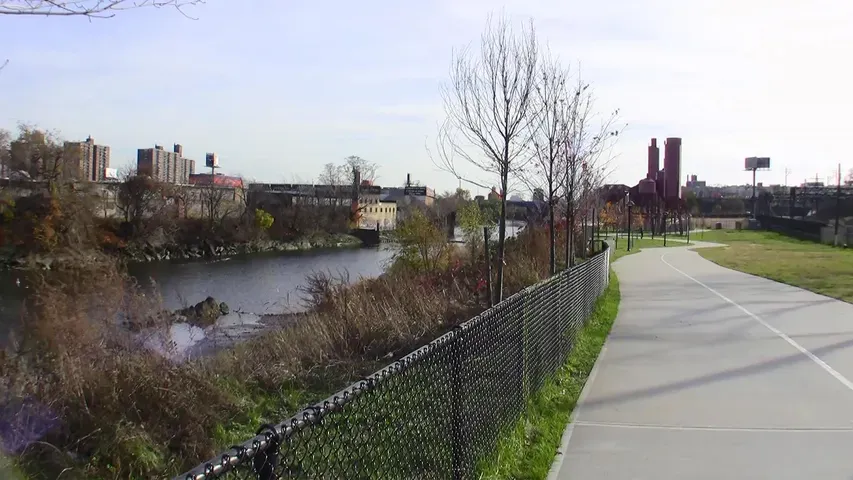 The Greening of the Bronx: An Urban Garden Tale