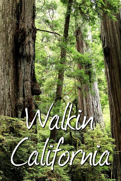 Walkin’ California Poster
