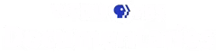 WEDU Documentaries