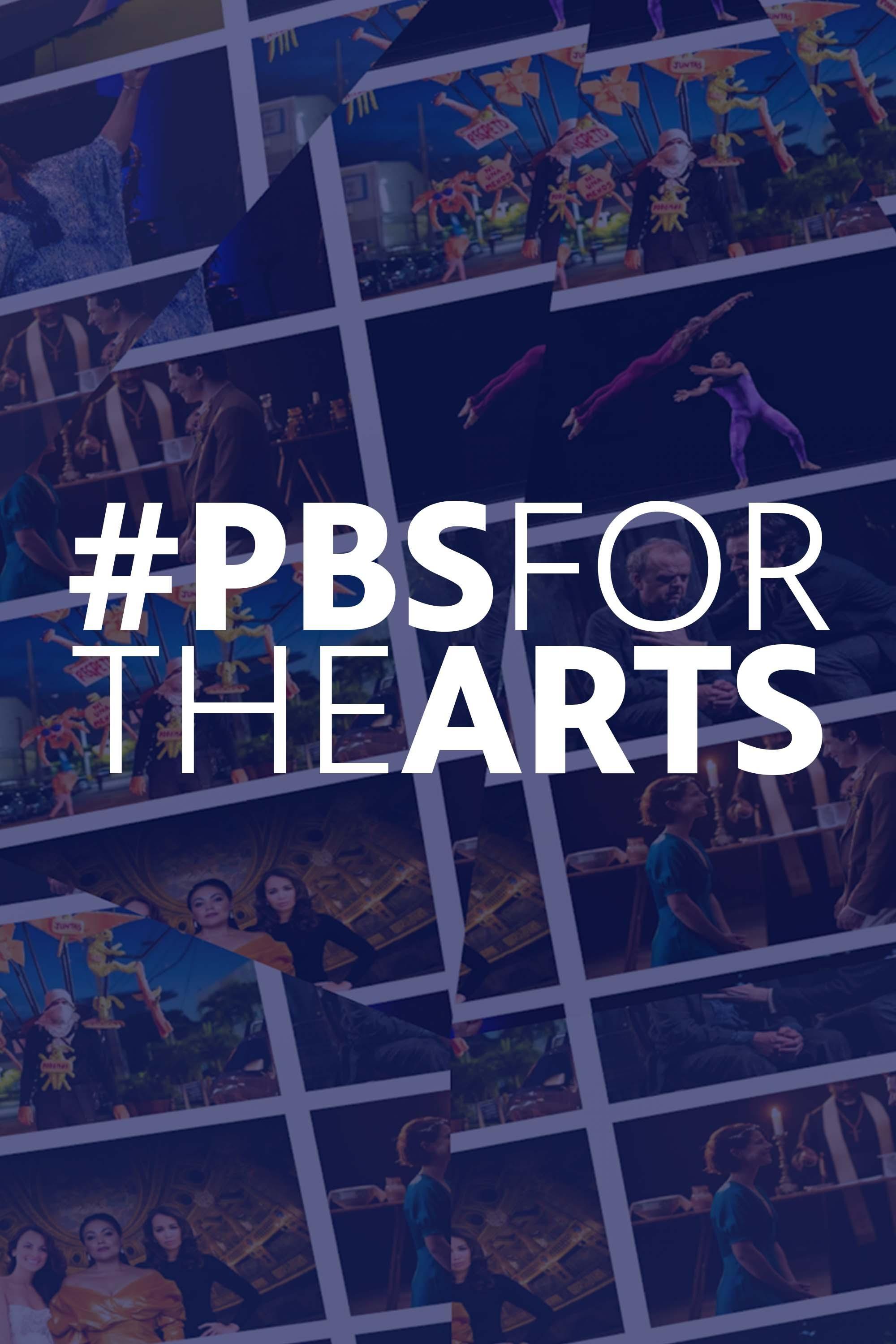 PBS For The Arts show's poster