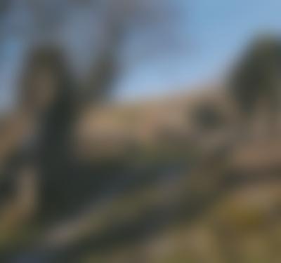 The Burren: Heart of Stone